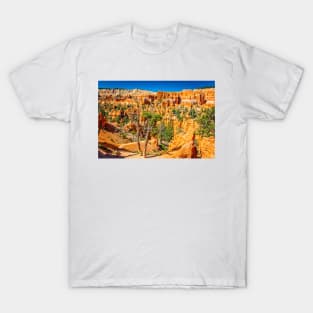 Bryce Canyon National Park T-Shirt